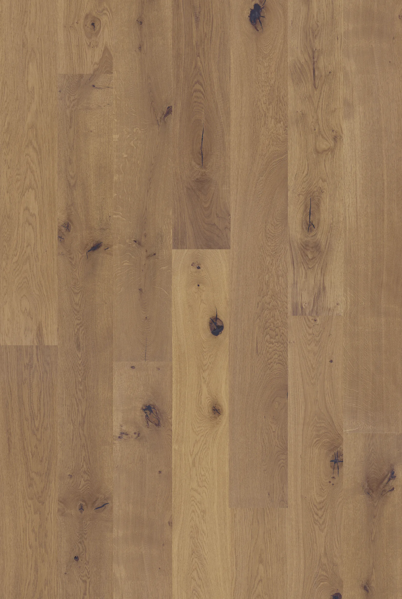 Carmel Signature flat flooring sample