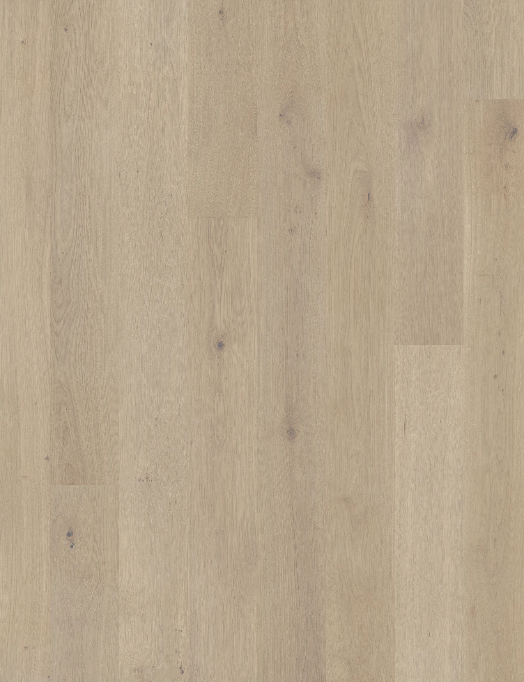 Harbor Signature flat flooring sample