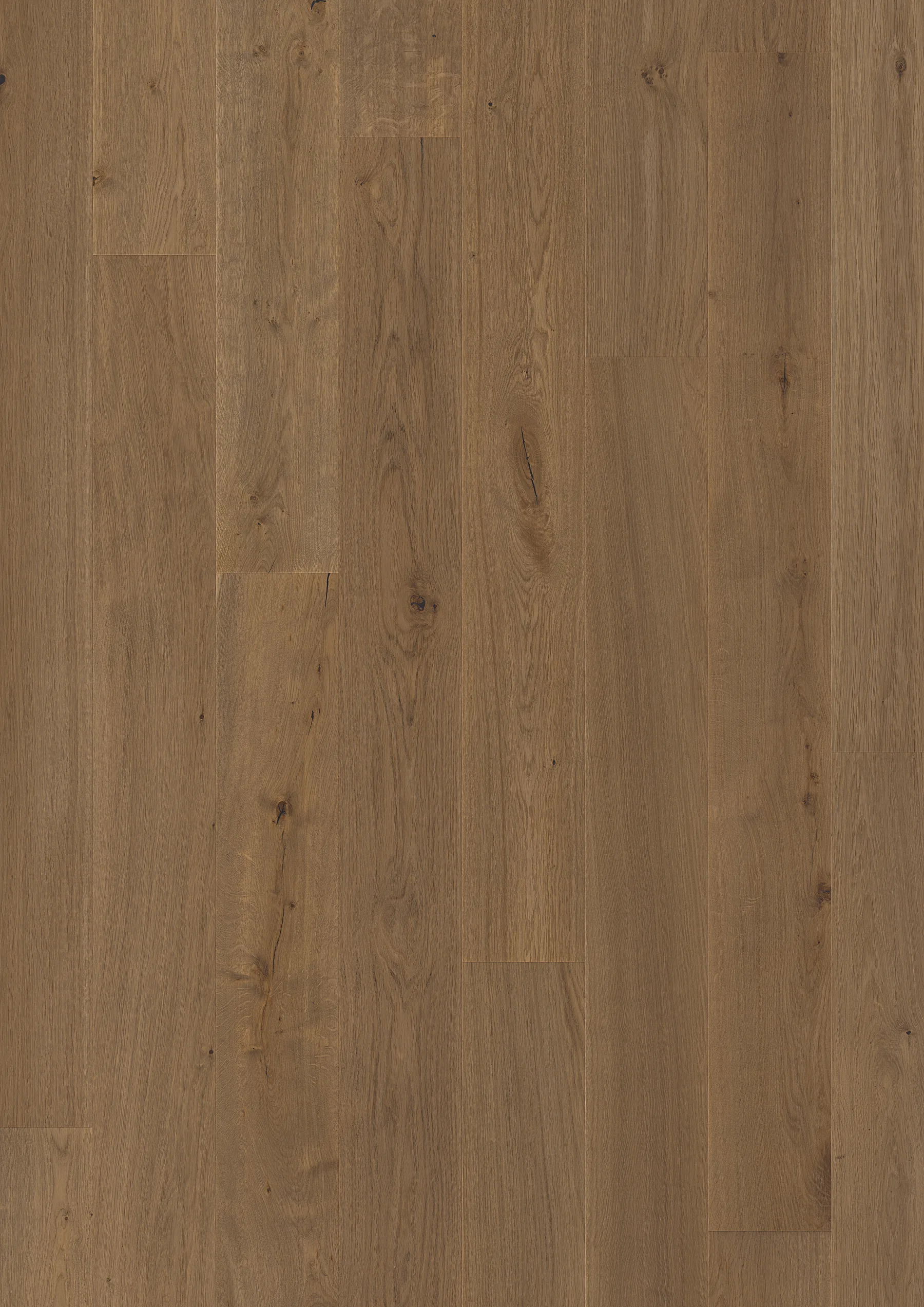 Provence Signature flat flooring sample